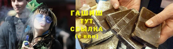 сатива Алзамай
