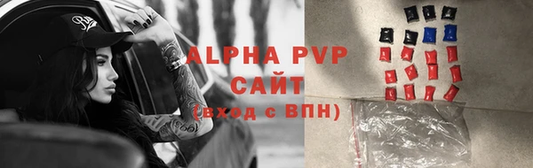 сатива Алзамай