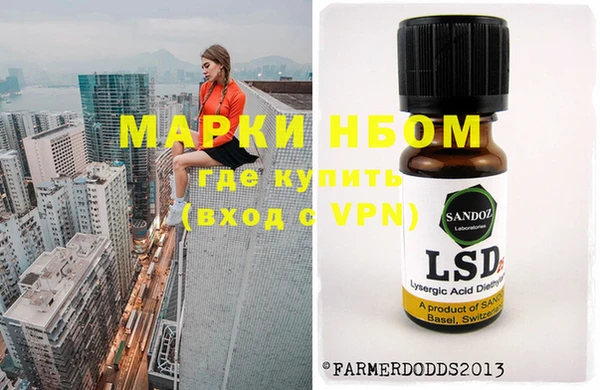 сатива Алзамай