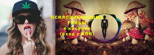 стаф Кинешма